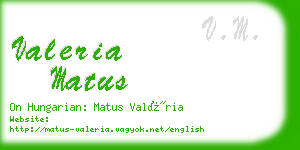 valeria matus business card